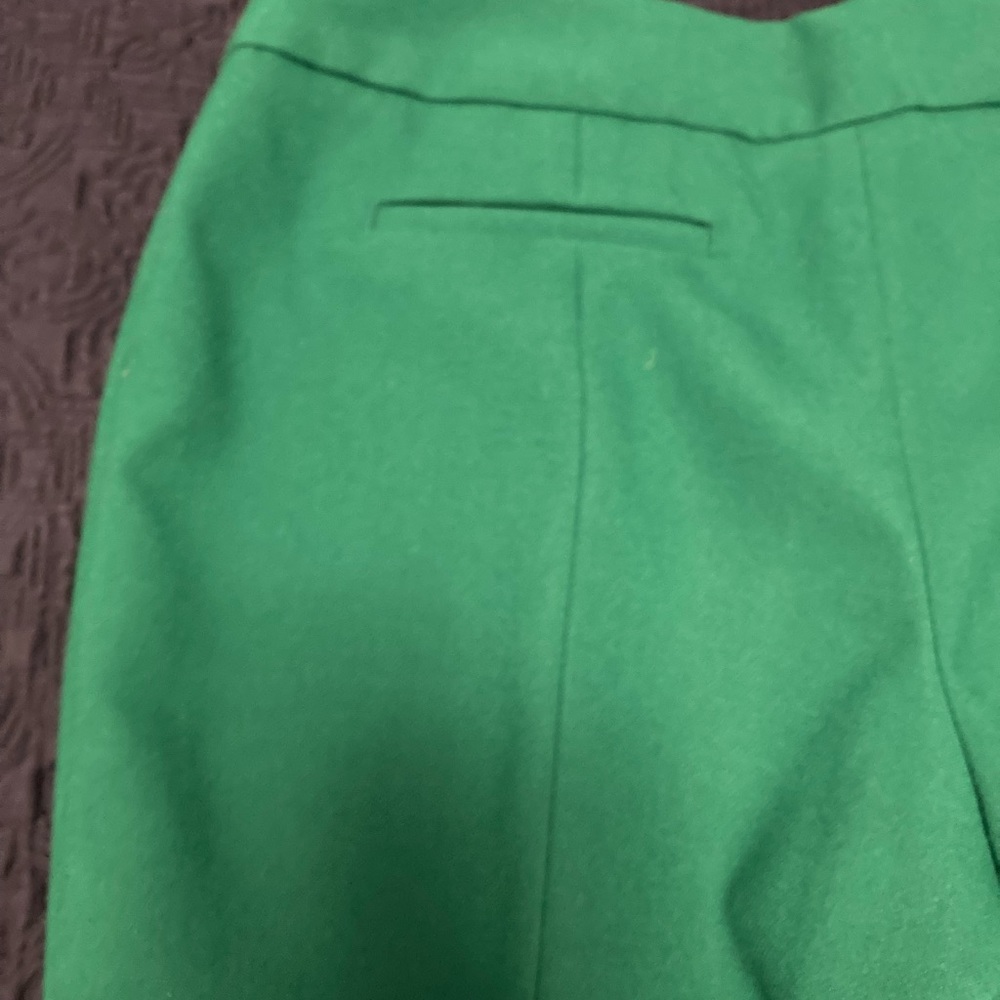 Fully Lined Winter White Pants. Will Include Gree… - image 7